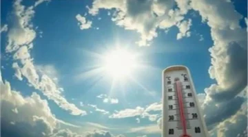 تحذير لمرتادي الطرق.. الأرصاد تعلن خريطة تزايد الشبورة ودرجات الحرارة المتوقعة اليوم